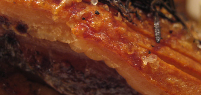 Easy Pork Belly